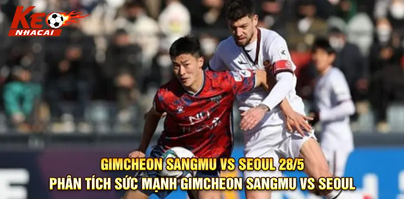 Biểu đồ sức mạnh đội hình tổng thể hai đội