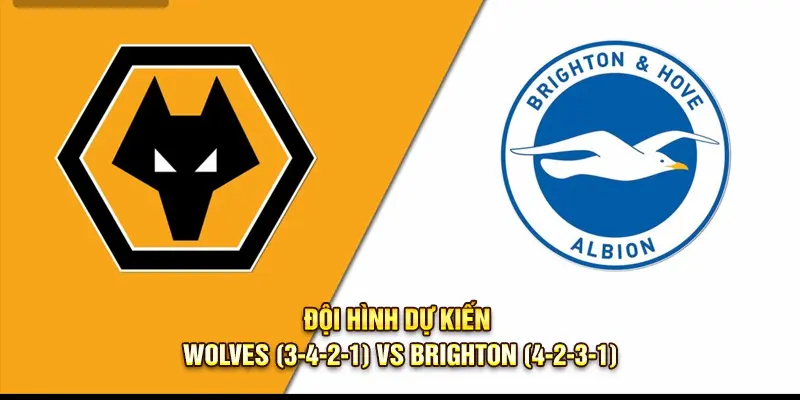 Đội hình dự kiến giữa Wolves và Brighton