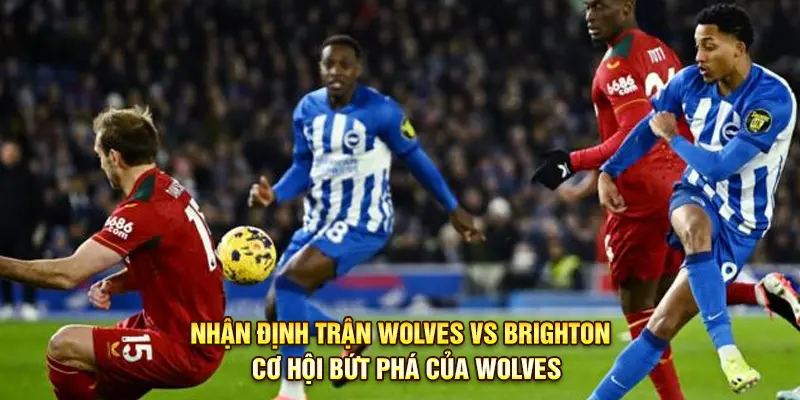 Nhận định trận đấu giữa Wolves và Brighton