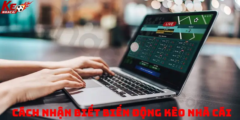 Cách nhận biết biến động kèo nhà cái - Bí quyết chuẩn