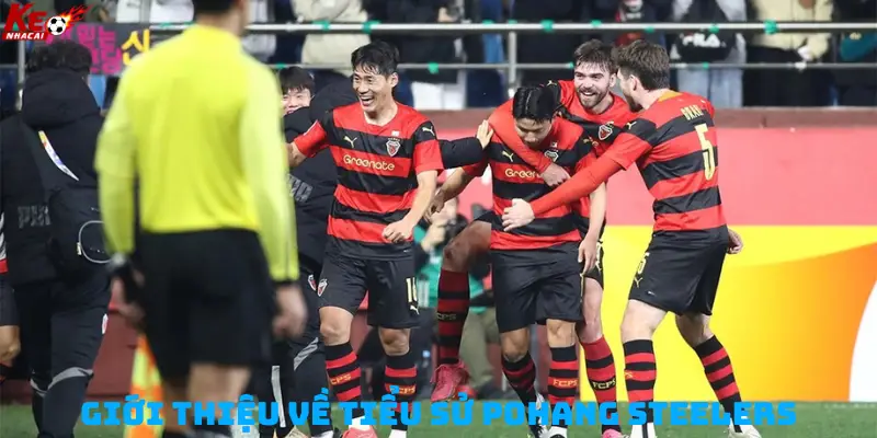Giới thiệu chung về tiểu sử Pohang Steelers