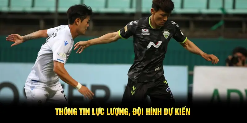 Đội hình dự kiến Gangwon FC vs Jeonbuk Hyundai